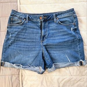 Sonoma Denim Blue Women's Shorts Size 16